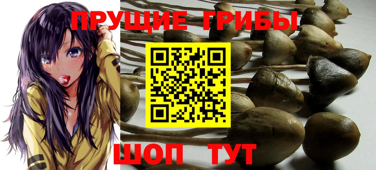 Отрадный  Галлюциногенные грибы MAGIC MUSHROOMS  Вход с VPN 